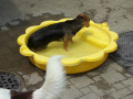 IMG-20170621-WA0041