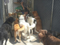 IMG-20170621-WA0053
