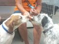IMG-20170622-WA0018