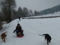 IMG-20170122-WA0005