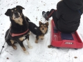 IMG-20170122-WA0008
