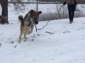 IMG-20170122-WA0023