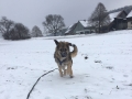 IMG-20170122-WA0024