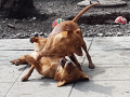 20190522_101831