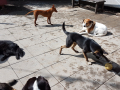 20190522_102258