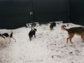 IMG_20170103_153719