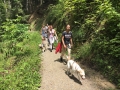 Foto 26.06.16, 19 16 28