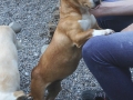 Fiona