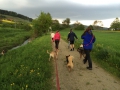 IMG-20150505-WA0004.jpg