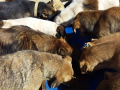 Webauction Feb 19 b