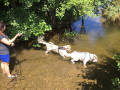 IMG-20170814-WA0047