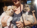 IMG-20170814-WA0052