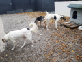IMG-20171023-WA0013