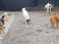 IMG-20171023-WA0015