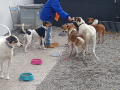 IMG-20171023-WA0035