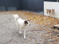 IMG-20171023-WA0038
