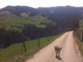 IMG-20150419-WA0023.jpg