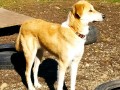 Kalle-1.11.20-2