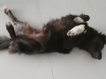 Betty-26.2.20c