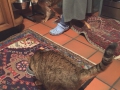 IMG-20150111-WA0000