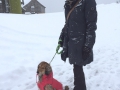 IMG-20150117-WA0005