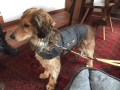 IMG-20150121-WA0000