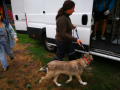 IMG-20170814-WA0004