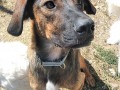 a-Scoobidoo-8.8.21-3
