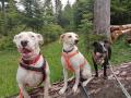 Cora-Louis-Lisa-Mai-20-2
