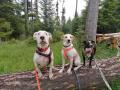 Cora-Louis-Lisa-Mai-20