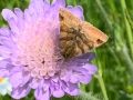 643eb409-66f7-4eee-881b-2cdf7dcac5c7