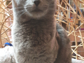 20190307_143902