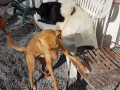 20190308_154030