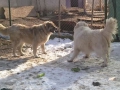 IMG-20160208-WA0000