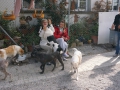 DSC00928a
