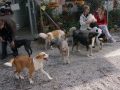 DSC00930a