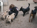 DSC00936a