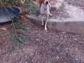 WhatsApp-Image-2021-09-20-at-21.45.32-3