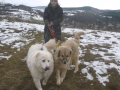 Eva mit Dobrin und Sandra 7.4.2015 2