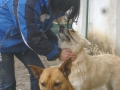 Eva mit Sabine und Hero 6.4.2015
