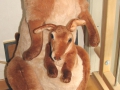 kanguru