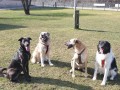 Nando-Rico-Fokka-Laska-27.3.21