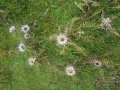 20170904_154240