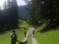IMG-20170904-WA0019