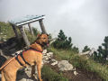 IMG-20170905-WA0001