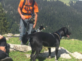 IMG-20170905-WA0006