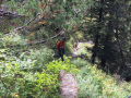 IMG-20170905-WA0007
