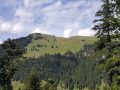 IMG-20170905-WA0015