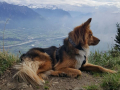 IMG-20170905-WA0025