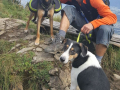 IMG-20170905-WA0026